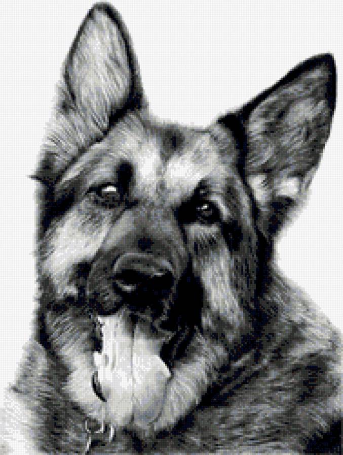 черно-белое - предпросмотр