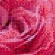 Предпросмотр схемы вышивки «розы» (№944622)