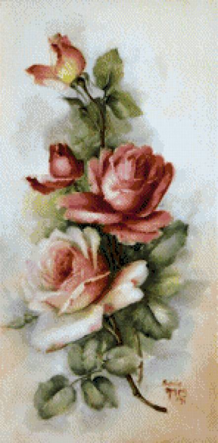 sonie ames - розы - предпросмотр