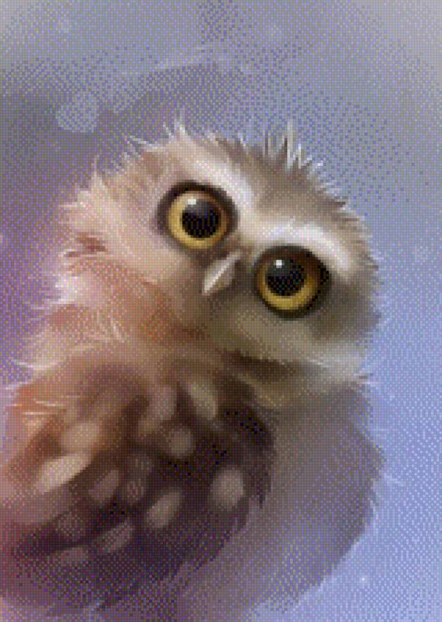 Сова - птицы, сова - предпросмотр