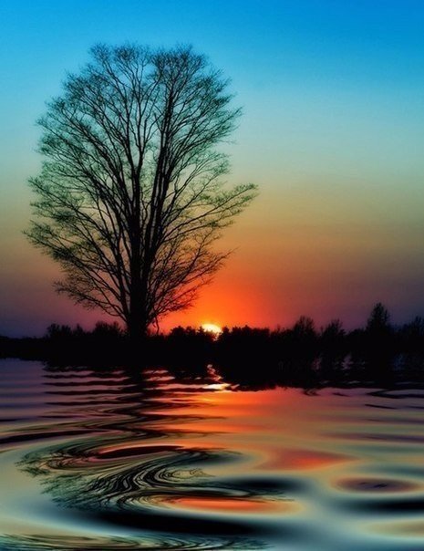 Восход - солнце, восход, вода, закат - оригинал