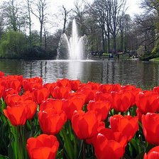 Схема вышивки «цветы»