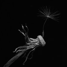 Схема вышивки «КАРТИНА 2»