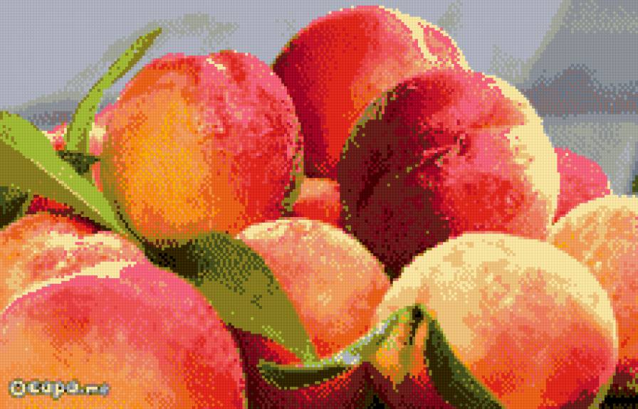 персики - ягоды, фрукты - предпросмотр