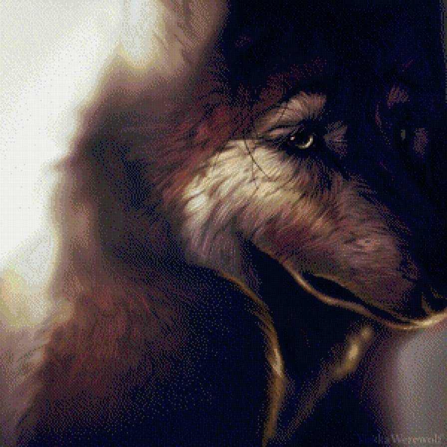 Волк - доверие, волк, глаза - предпросмотр