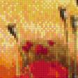 Предпросмотр схемы вышивки «маки» (№945909)
