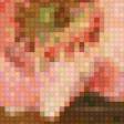 Предпросмотр схемы вышивки «Цветы шиповника» (№945961)