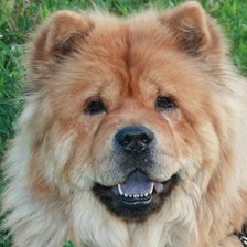 Схема вышивки «№946471»