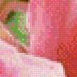 Предпросмотр схемы вышивки «Розовые розы» (№946528)