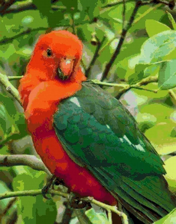 loro - предпросмотр