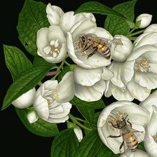 Схема вышивки «№946977»