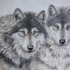 Схема вышивки «пара волков»