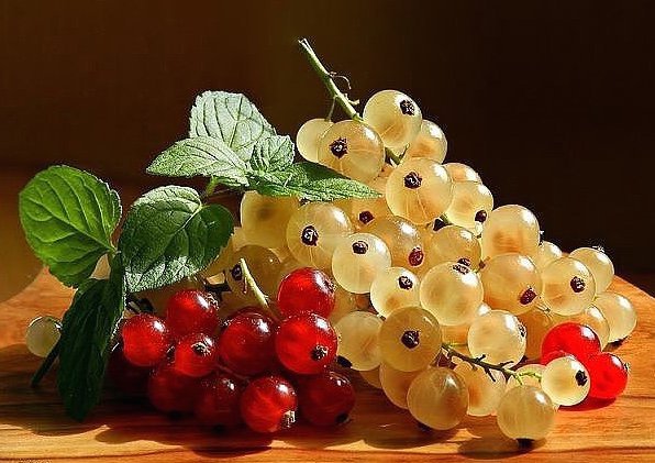 смородина - фрукты, ягоды - оригинал