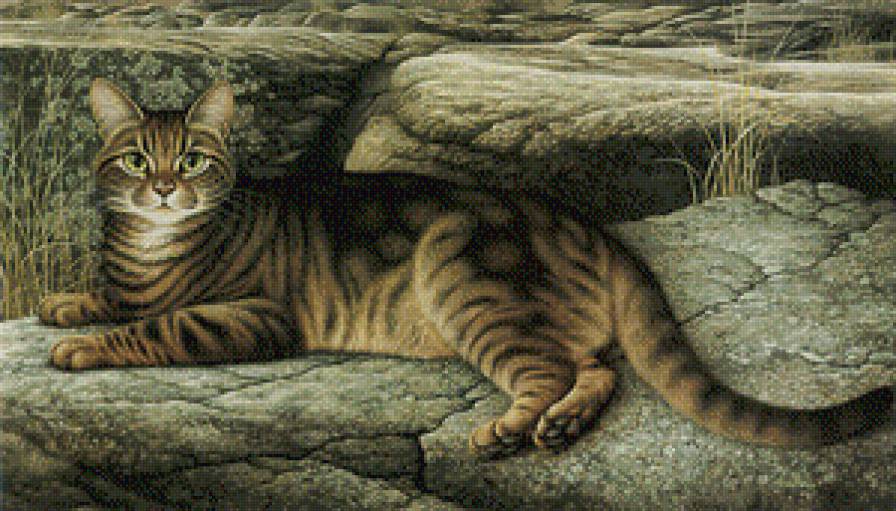 кот - кот, кошка - предпросмотр