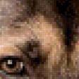 Предпросмотр схемы вышивки «Немецкая овчарка» (№947159)