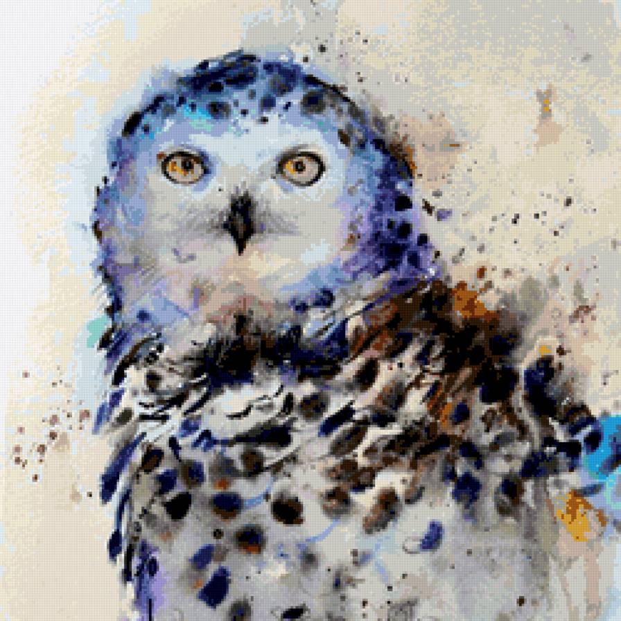 Búho Bello - предпросмотр