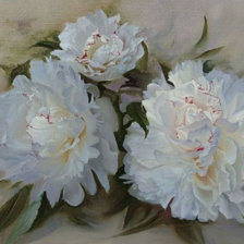 Схема вышивки «Белые пион»