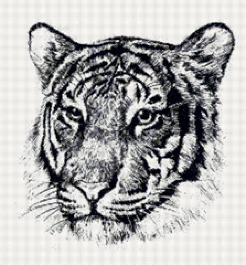 монохром - предпросмотр