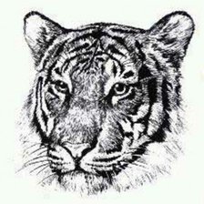 Схема вышивки «монохром»