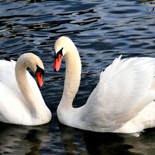 Схема вышивки «лебеди»