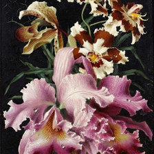 Оригинал схемы вышивки «Орхидеи» (№947728)