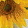 Предпросмотр схемы вышивки «подсолнухи» (№948163)