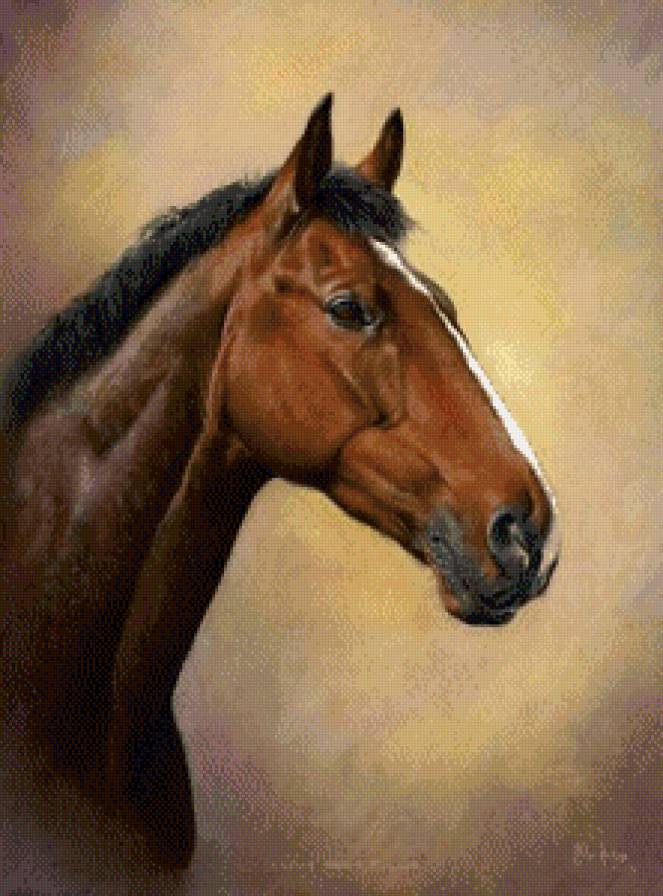 Лошадь - лошадь, грация, рисунок - предпросмотр