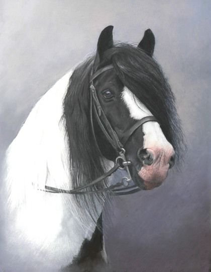 Лошадь - рисунок, лошадь, грация - оригинал