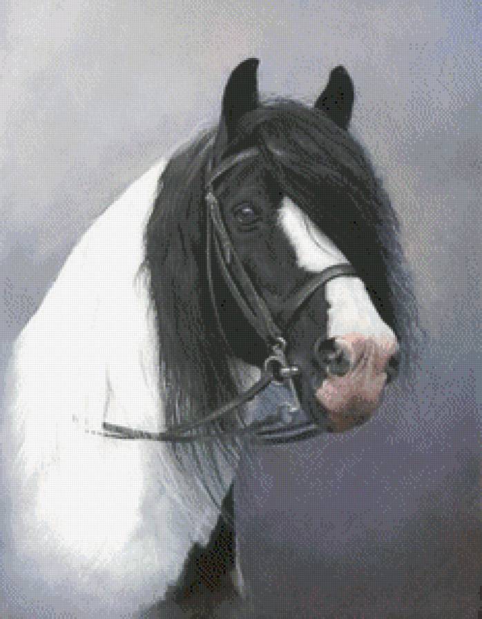 Лошадь - лошадь, грация, рисунок - предпросмотр