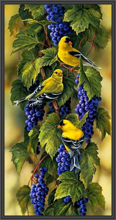 Птицы и виноград - природа, птицы - оригинал