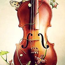 красота скрипки