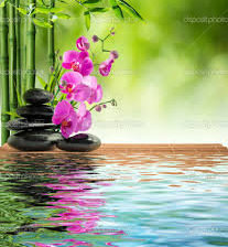 Схема вышивки «Орхидея»