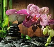 Схема вышивки «Орхидея бамбук камни»