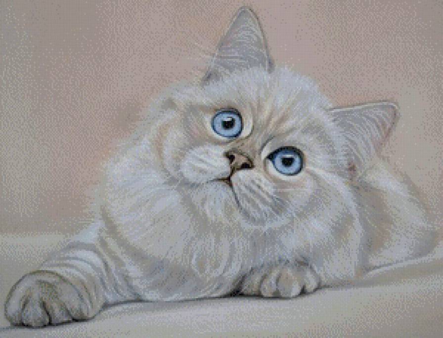 №948680 - белая киска, домашние животные, котик - предпросмотр