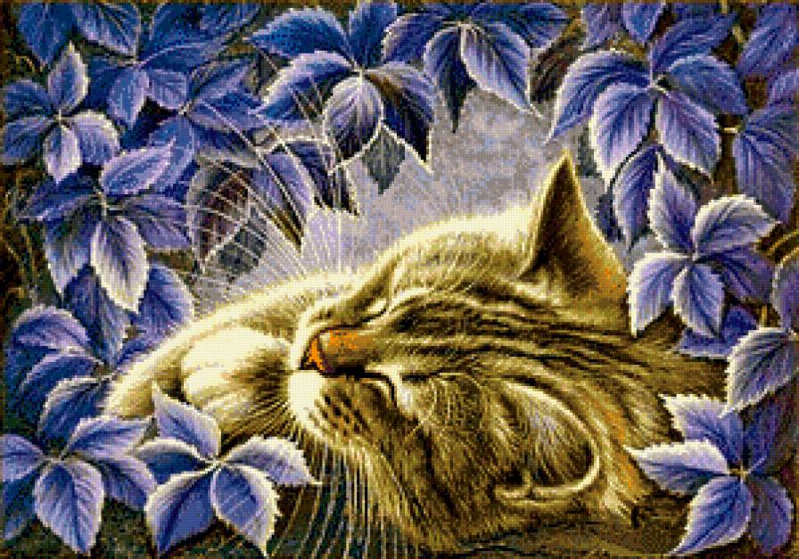 №948686 - домашние животные, котенок, сладкий сон - предпросмотр