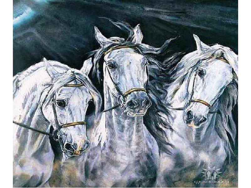 Лошади - лошадь, рисунок, грация - оригинал