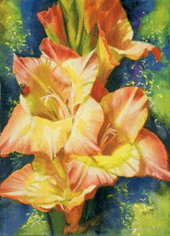 Гладиолус - цветы - предпросмотр