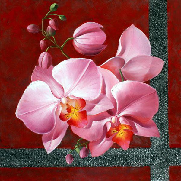 Орхидея - орхидеи, цветы - оригинал