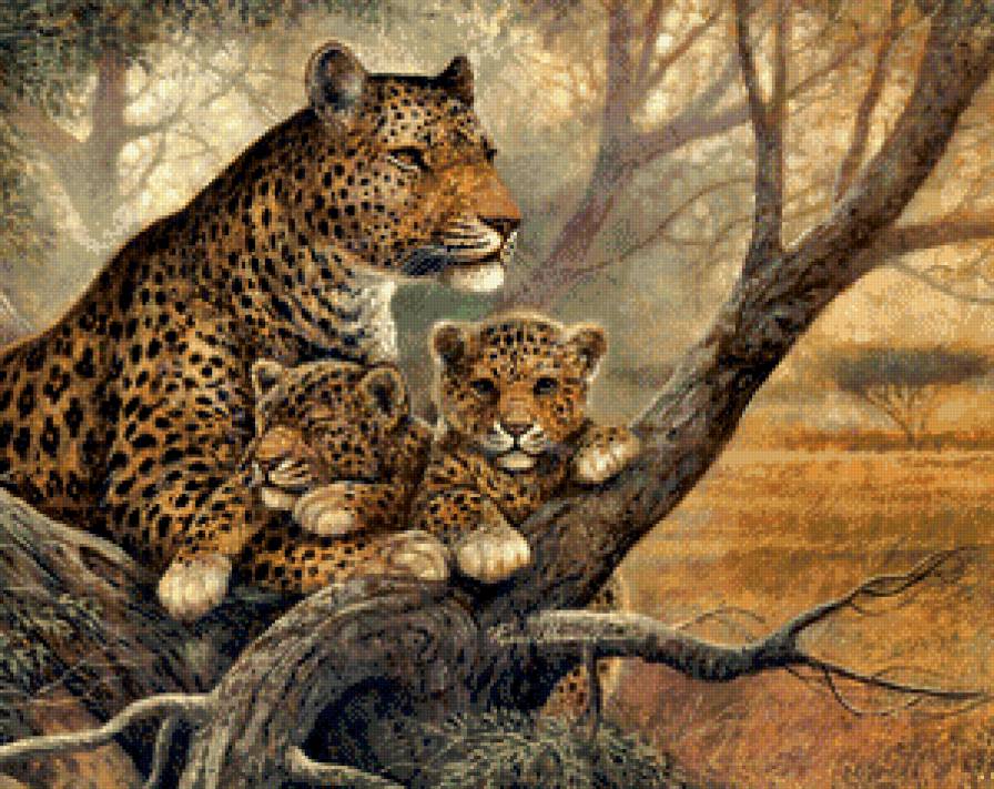 №949075 - отдых, леопарды, сон, семья, котята - предпросмотр