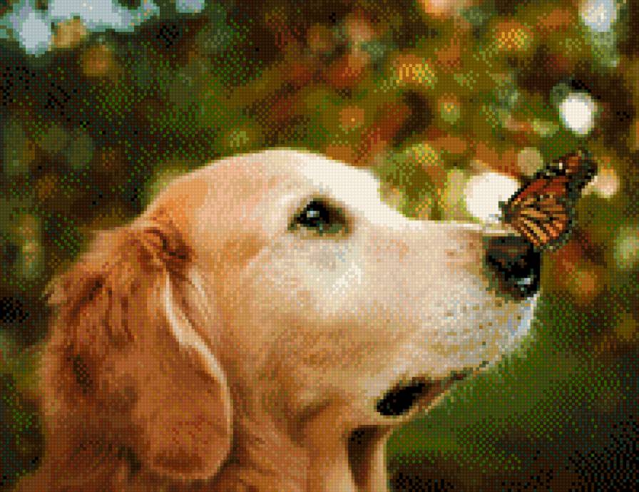 №949246 - предпросмотр