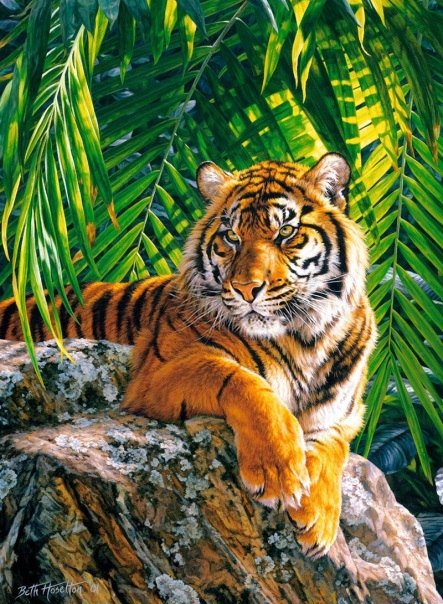 тигр - картина, тигр, дикие животные - оригинал