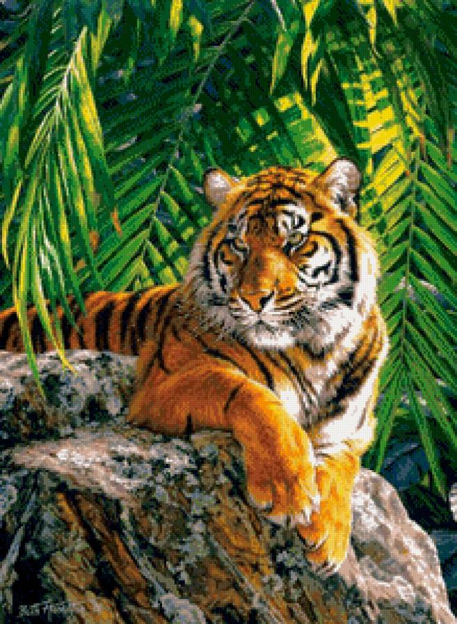 тигр - картина, тигр, дикие животные - предпросмотр