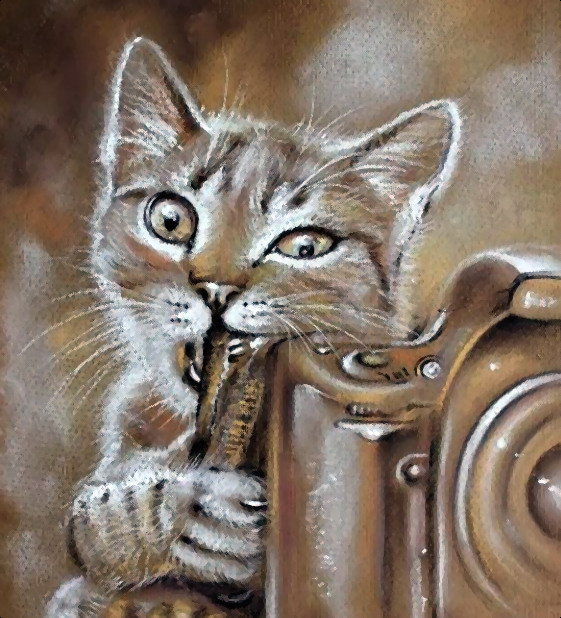 шкода - оригинал