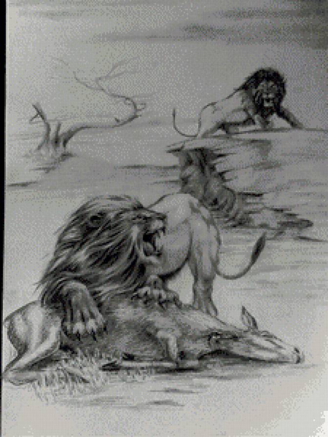 львы на охоте - животные - предпросмотр