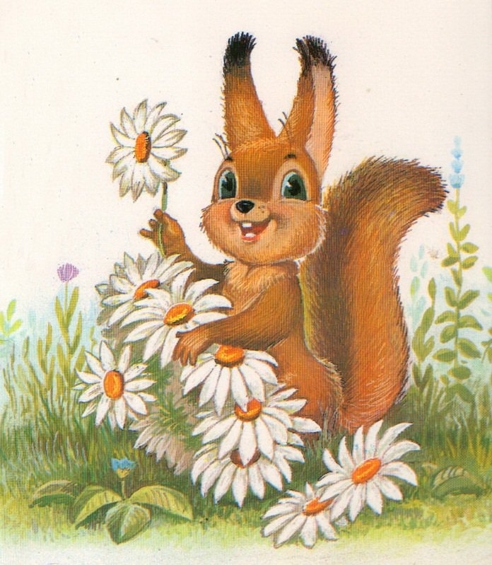 Белка - оригинал