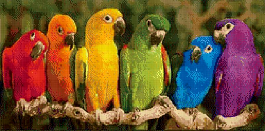 милахи - предпросмотр