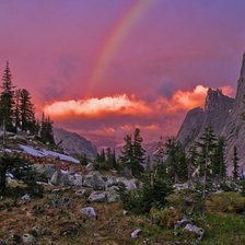 Схема вышивки «ергаки»
