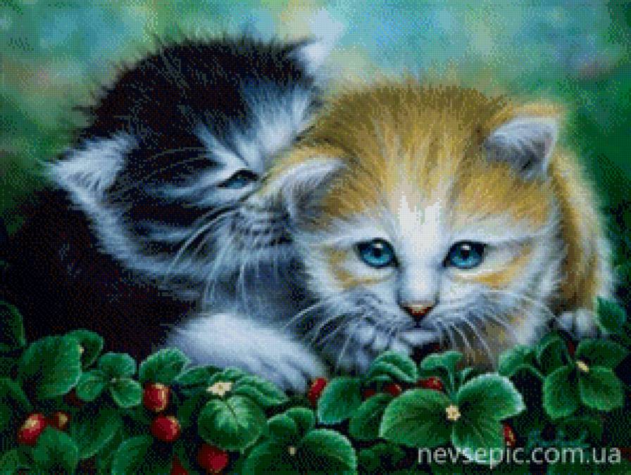 котята - котята - предпросмотр