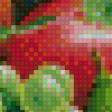 Предпросмотр схемы вышивки «ягодная феерия» (№950447)