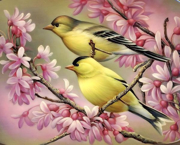 пара птиц на цветущей ветке - ветка, цветы, пара, птицы, нежность, семья, сад, любовь, весна - оригинал